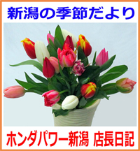 新潟の季節だより