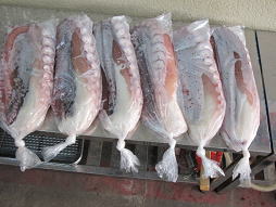 ���_�R�̘b ���� 3