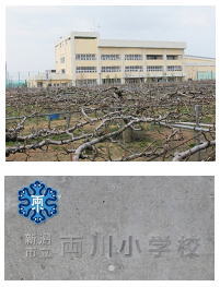 �V���s�����쏬�w�Z