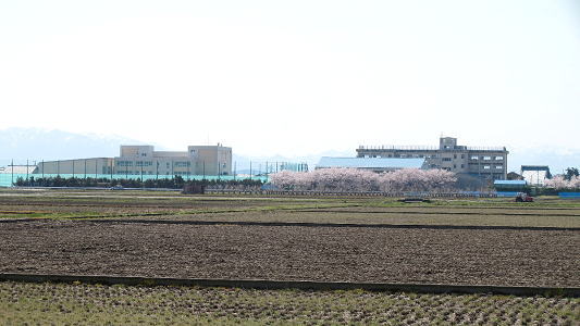 �v���Ԃ�̉����ł� 1