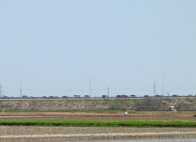 �A�x�̓c�A�� 2