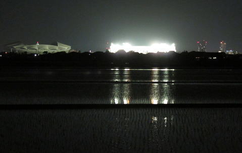 �c���Ƃ̃G�R�X�^�W�A��