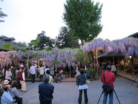 ���_�̊قƓ��̉� 1