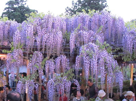 ���_�̊قƓ��̉� 3