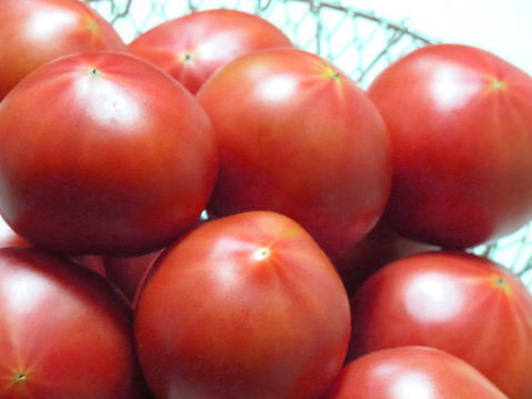 ���܂��Â��t�g�}�g