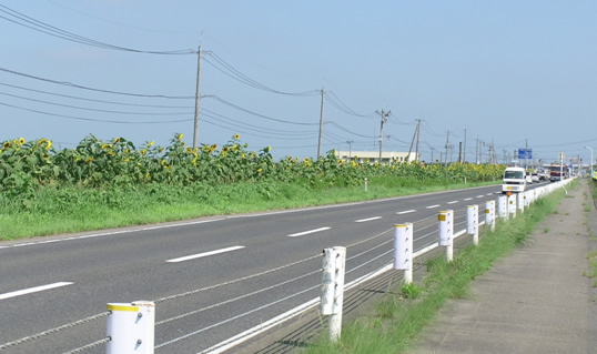 �Ђ܂�胍�[�h�����1