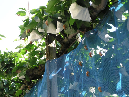 ����̏H����������!!�̎ʐ^2