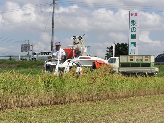 ���n�܂�I�̎ʐ^1