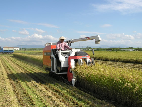 ���n�܂�I�̎ʐ^2