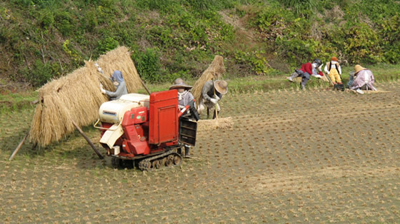 ���������[���h�̎ʐ^3