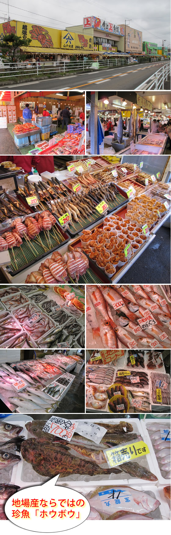 ���̃A�����A�����֍s���̎ʐ^1