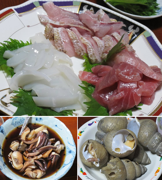 ���̃A�����A�����֍s���̎ʐ^2