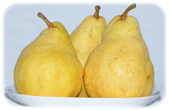 ���m�Ȃ���&ldquo;�M�w�l&rdquo;���E���N�`�F�H�׍����}����̎ʐ^1