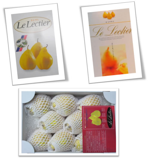 ���m�Ȃ���&ldquo;�M�w�l&rdquo;���E���N�`�F�H�׍����}����̎ʐ^3