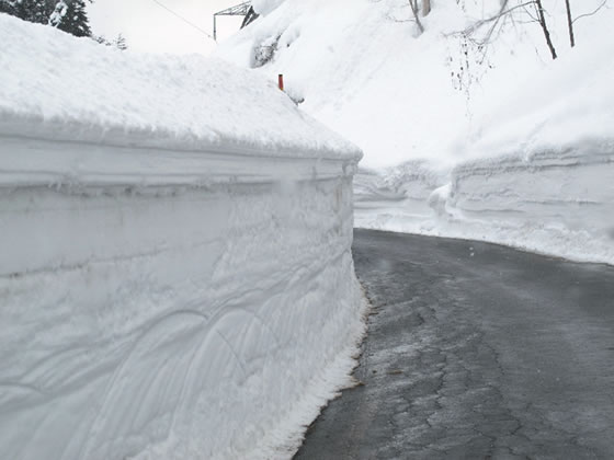 ���X�Ƒ�����̕ǂ̎ʐ^�Q