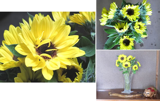 vol.037 �q�}�����̉Ԃŏ�ċC���̎ʐ^4