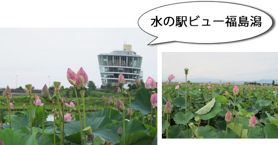 vol.038 ���{�k���̎����n�ɃI�j�o�X������̎ʐ^�T