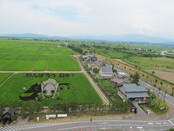 vol.038 ���{�k���̎����n�ɃI�j�o�X������̎ʐ^�U