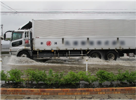 vol.039 �V���ŋL�^�I���J�̎ʐ^�P