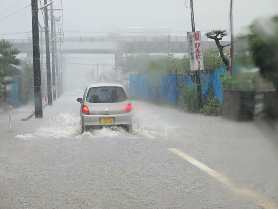 vol.039 �V���ŋL�^�I���J�̎ʐ^�T