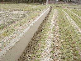 �c��ڂ̌l�h��̎ʐ^2