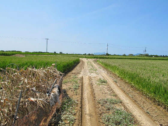 vol.040 ��^���̒܍��[���̎ʐ^3