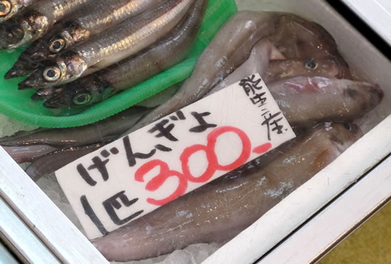 vol.043 ������Ō����ɉ�̎ʐ^1