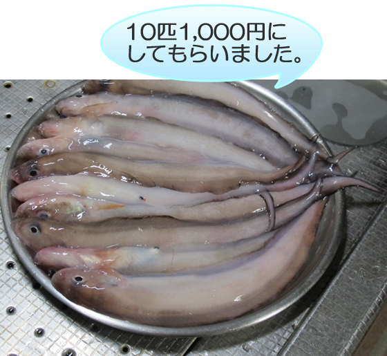 vol.043 ������Ō����ɉ�̎ʐ^2