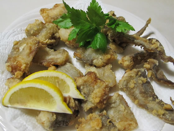 vol.043 ������Ō����ɉ�̎ʐ^3