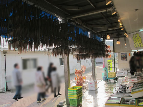 vol.043 ������Ō����ɉ�̎ʐ^4