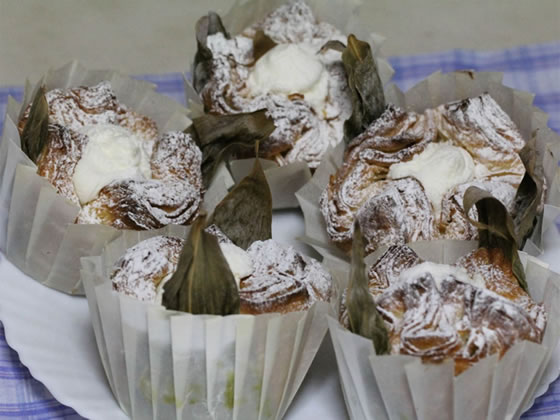 vol.044 �V���������c�q�̎ʐ^2