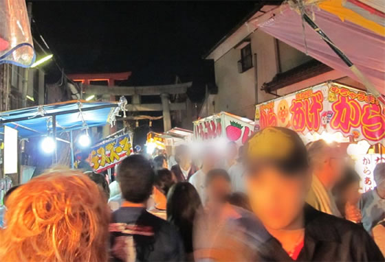 vol.047 �V���̉Ă������銗���Ղ�̎ʐ^1