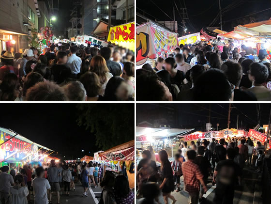 vol.047 �V���̉Ă������銗���Ղ�̎ʐ^2