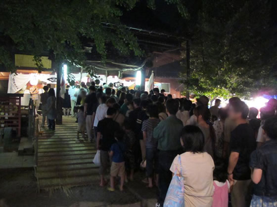 vol.047 �V���̉Ă������銗���Ղ�̎ʐ^4