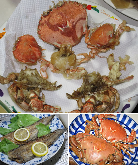 vol.048 �����̕l�ŕ߂ꂽ�Ă̋����Q�b�g�̎ʐ^3