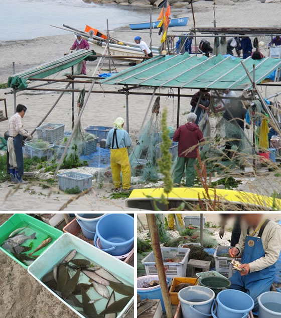 vol.048 �����̕l�ŕ߂ꂽ�Ă̋����Q�b�g�̎ʐ^4