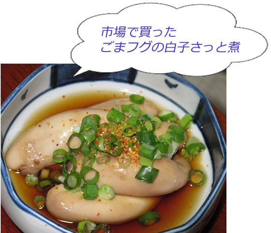 vol.048 �����̕l�ŕ߂ꂽ�Ă̋����Q�b�g�̎ʐ^6