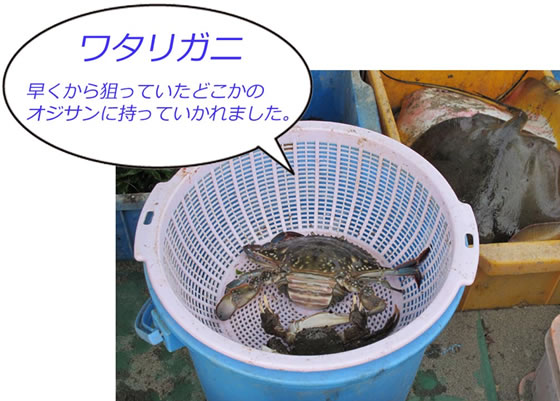 vol.048 �����̕l�ŕ߂ꂽ�Ă̋����Q�b�g�̎ʐ^8