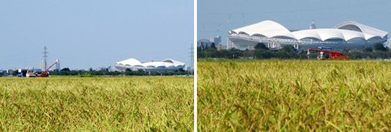 vol.049 ���K�ȏH�͂�����Ă��邩�̎ʐ^5