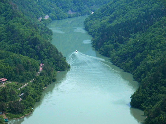 vol.053 ���꒬�����A�R�؂܂�ɍs���̎ʐ^1