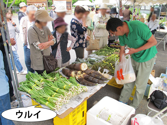 vol.053 ���꒬�����A�R�؂܂�ɍs���̎ʐ^4