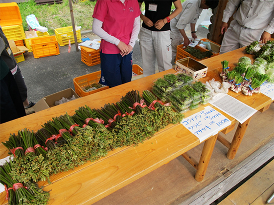 vol.053 ���꒬�����A�R�؂܂�ɍs���̎ʐ^7