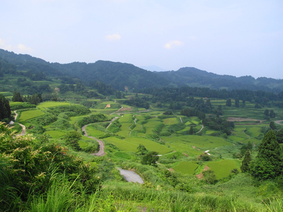 vol.056 �I�c�߂���̎ʐ^2