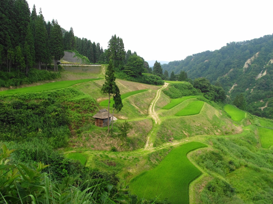 vol.056 �I�c�߂���̎ʐ^3