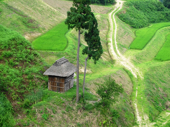 vol.056 �I�c�߂���̎ʐ^4