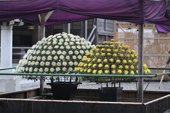 vol.057 ��F�_�� �e�܂�ɍs���̎ʐ^11