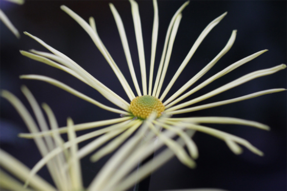 vol.057 ��F�_�� �e�܂�ɍs���̎ʐ^14