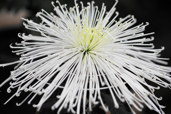 vol.057 ��F�_�� �e�܂�ɍs���̎ʐ^17