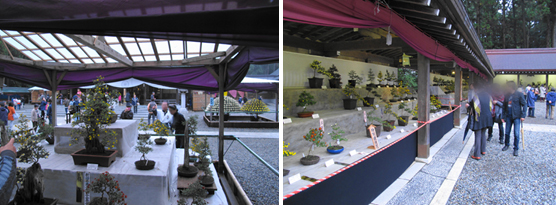 vol.057 ��F�_�� �e�܂�ɍs���̎ʐ^4