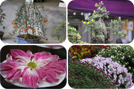 vol.057 ��F�_�� �e�܂�ɍs���̎ʐ^6